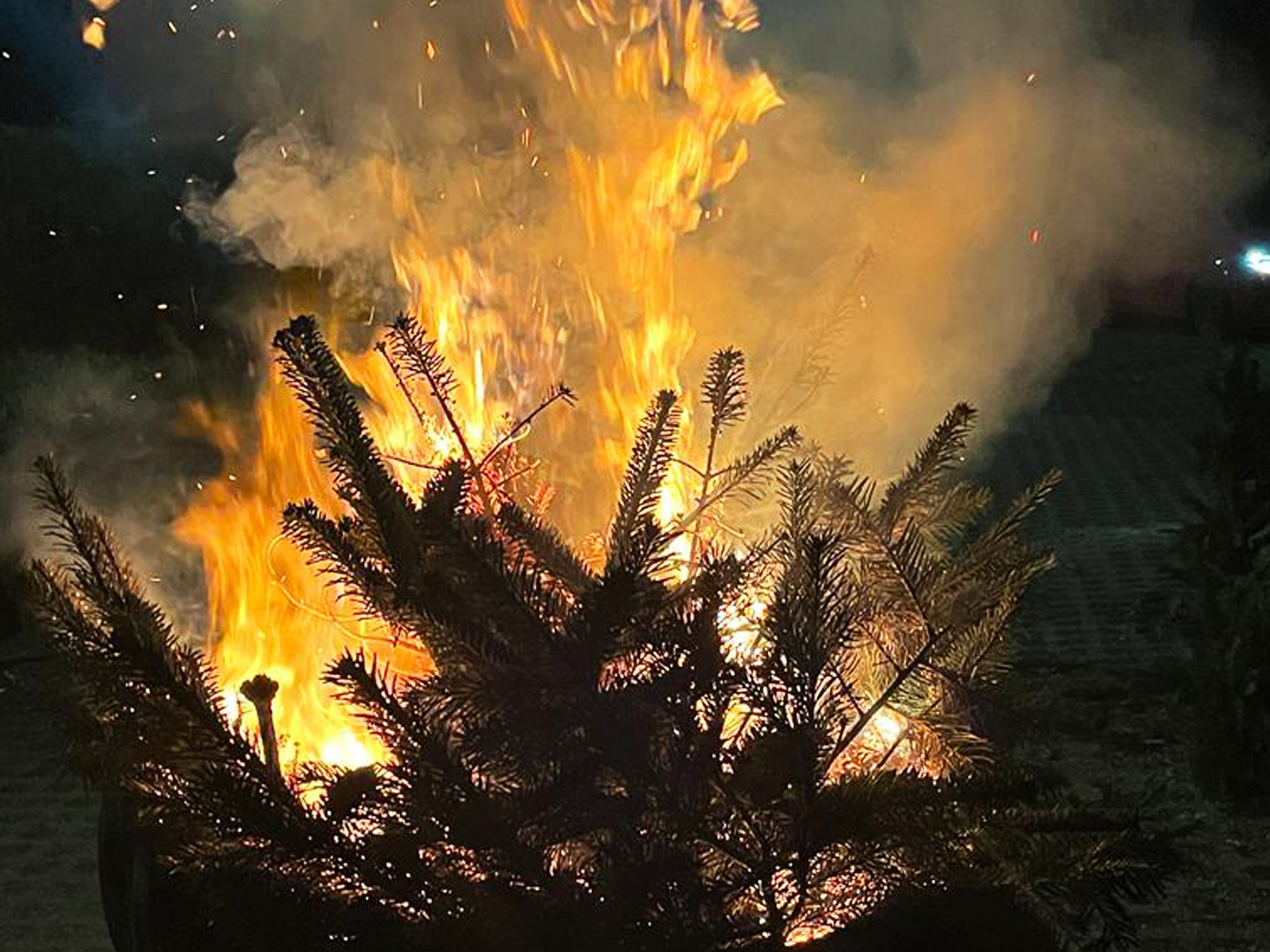 Wustrower Tannenbaumverbrennen